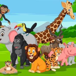Los animales