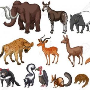 Animales Terrestres