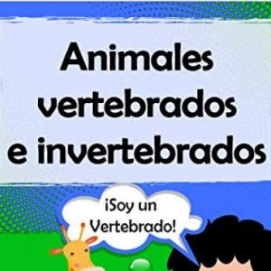 Animales Vertebrados e Invertebrados
