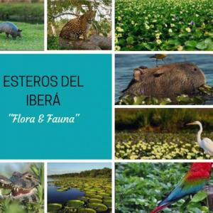  Esteros del Iberá