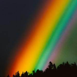 Rainbow by Sia - Vocabulary
