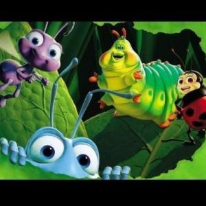 concentrece insects