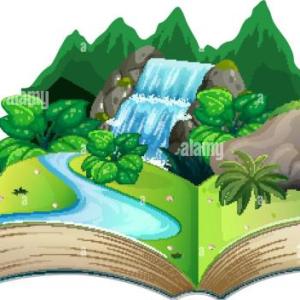 Natural Sciences