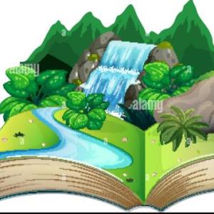 Natural Sciences