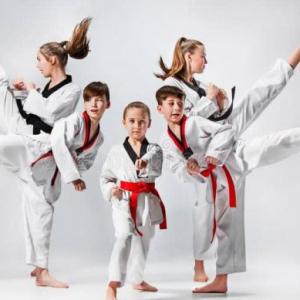Dimanic TKD