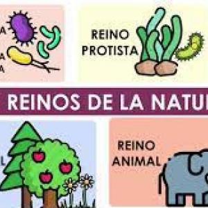 Los cinco reinos de la naturaleza