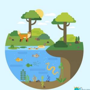 Imagen de portada del videojuego educativo: Ahorcado de los ecosistemas., de la temática Biología