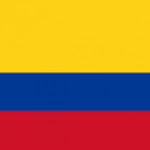 Constitución política de Colombia