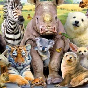 Animales curiosos