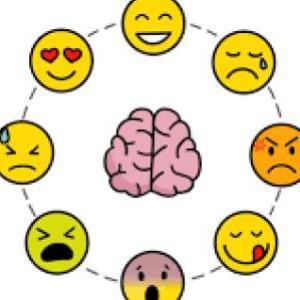 Socioemocional