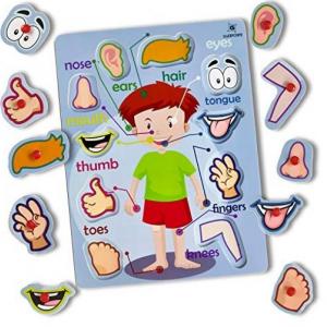 PARTES DEL CUERPO EN INGLES