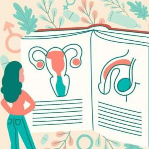 Educación Sexual