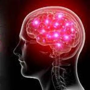 neurociencia de las emociones
