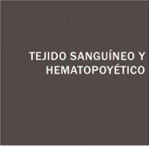 hematopoyesis y tejido sanguineo