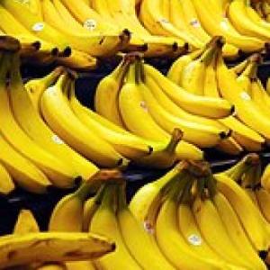 Economia Agropecuaria