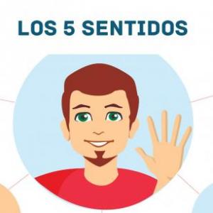 los sentidos