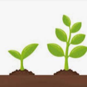 taller de competencias