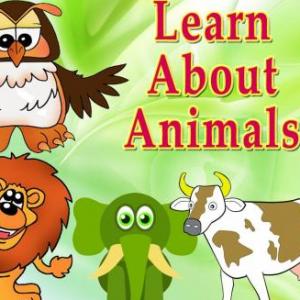 Portada del juego Animals – Idiomas