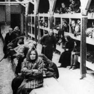 El Holocausto