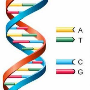 DNA
