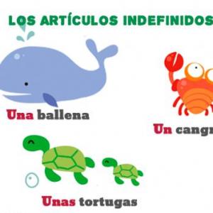 Los Artículos Indefinidos