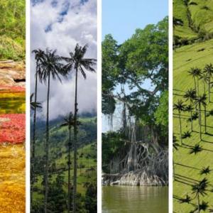 Ecosistemas en colombia