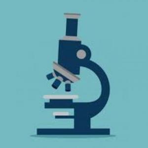 partes del microscopio