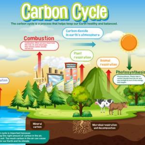 Imagen de portada del videojuego educativo: Regulación del clima y ciclo del carbono:, de la temática Ciencias