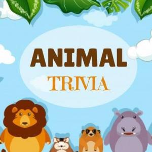 WILD AND DOMESTIC ANIMLAS