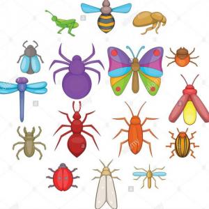 Encuentra los pares