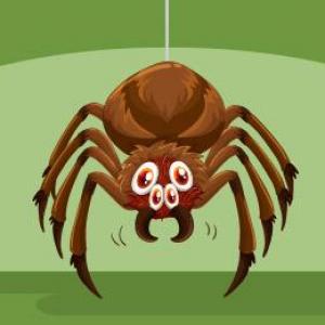 Imagen de portada del videojuego educativo: Arañas e Insectos , de la temática Literatura