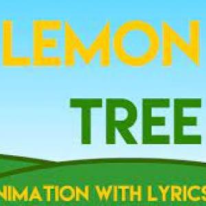 MATCHING LEMON TREE 