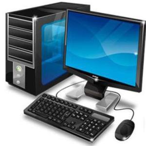 Verdadero o Falso: Partes de la Computadora