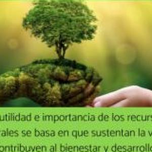 LOS RECURSOS NATURALES