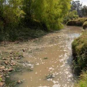 Aprende y conoce sobre el Rio Bogota