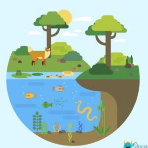 Aprende sobre la cadena trófica y los ecosistemas