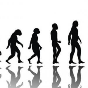 Actividad sobre el ser humano