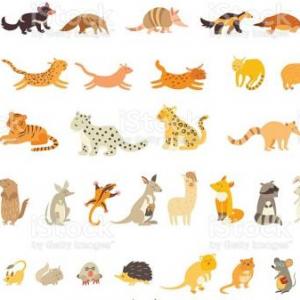 animales