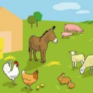 La granja