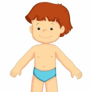 Partes del Cuerpo Humano