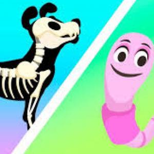 Aprendiendo con Animales