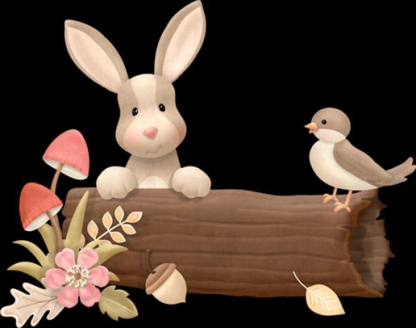 Imagen de portada del videojuego educativo: Flor Memo Fauna, de la temática Biología
