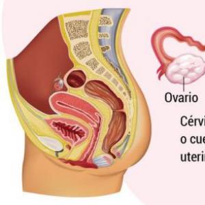 Imagen de portada del videojuego educativo: Partes del aparato reproductor femenino. , de la temática Salud