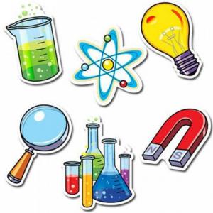 actividad de ciencias #1