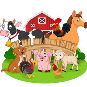 Farm Animals