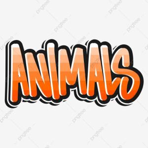 Animals Games