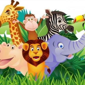 Wild Animals