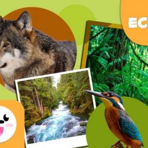 ecosistemas