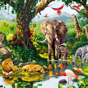 Duchazo de Flora y Fauna