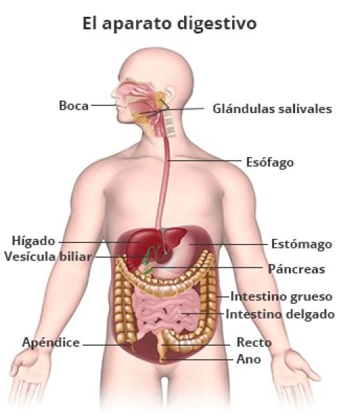 CIENCIAS DIVERTIDAS